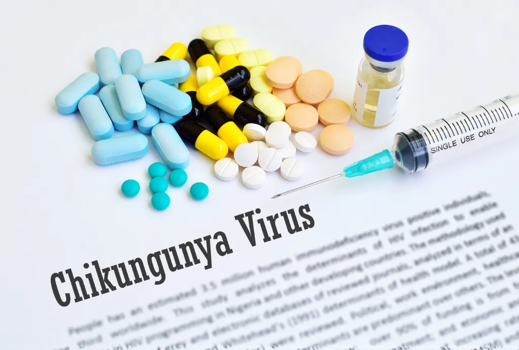 chikungunya à Eybens